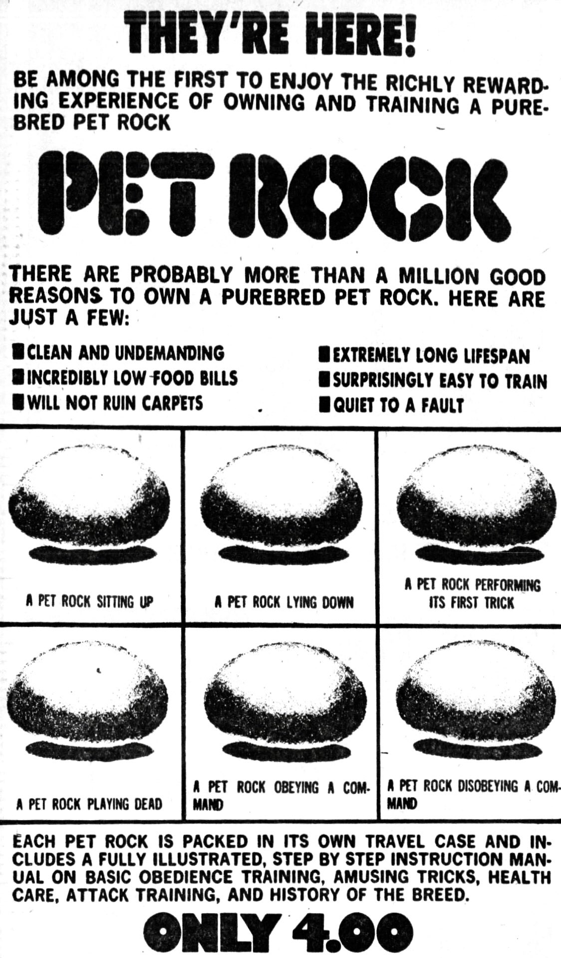 Black-and-white Pet Rock advertisement showing the same rock in six panels labeled with different tricks, beneath the headline They’re Here.