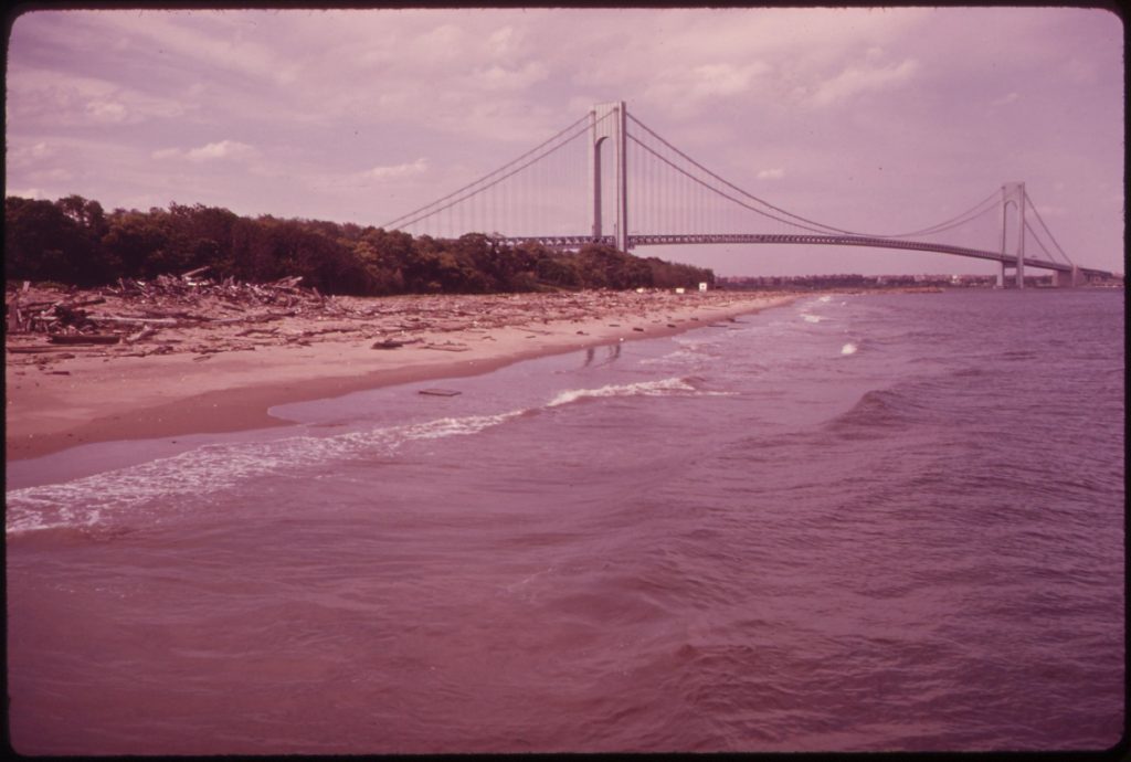 The long suspension span of the Verrazano-Narrows Bridge stretches across the water beyond a beach strewn with driftwood.