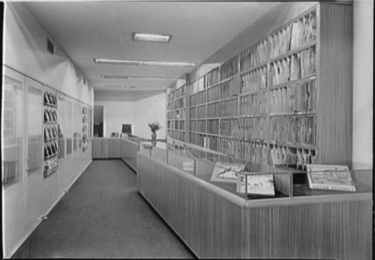 A long, narrow record shop with shelves of albums along one wall and display counters down the middle.